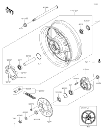 Rear Hub