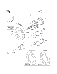 Rear Hub