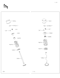 Valve(S)