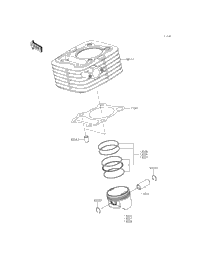 Cylinder/Piston(S)