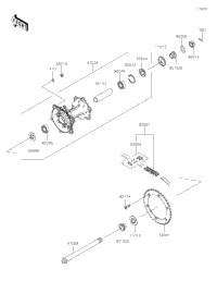 Rear Hub