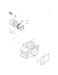 Cylinder/Piston(S)
