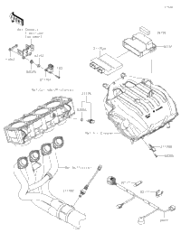 Fuel Injection