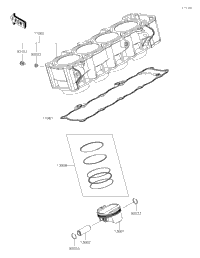Cylinder/Piston(S)