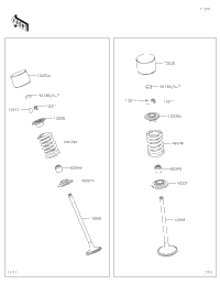 Valve(S)