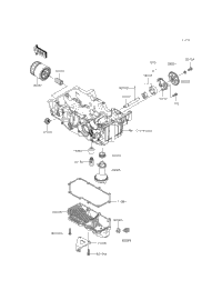 Oil Pump/Oil Filter