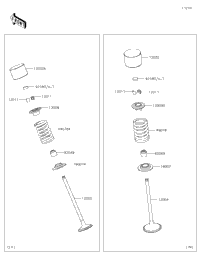 Valve(S)