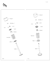 Valve(S)