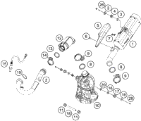 Exhaust System