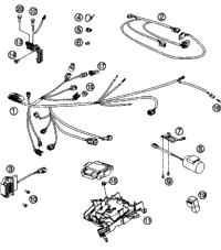 Wiring Harness