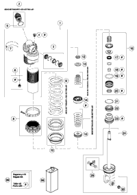Shock Absorber Disassembled