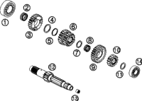 Transmission I - Main Shaft