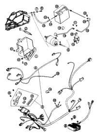 Wiring Harness