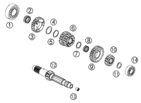 Transmission I - Main Shaft