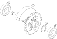 Balancer Shaft