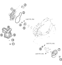 Water Pump