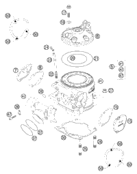 Cylinder - Cylinder Head