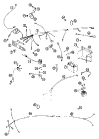 Wiring Harness (Eu/Aus)