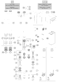 Front Fork Disassembled