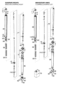 Fork Legs