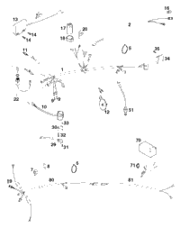 Wiring Harness Australia
