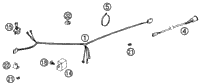 Wiring Harness (Usa)