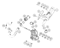 Exhaust System