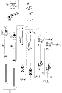 Front Fork Disassembled