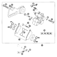 Brake Caliper Rear Formula