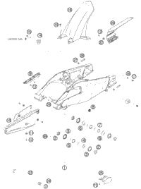 Swing Arm