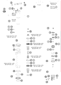 Shock Absorber Disassembled