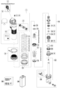 Shock Absorber Disassembled