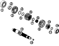 Transmission I - Main Shaft