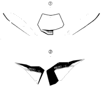 Decal