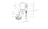 Oil Filters