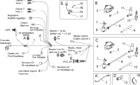 Electrical System I