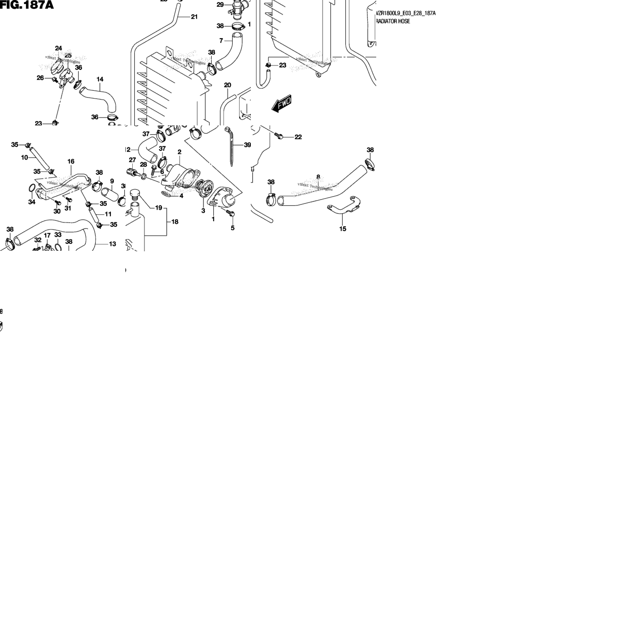 Radiator Hose