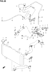 Radiator Hose