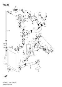 Radiator Hose