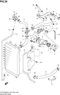 Radiator Hose