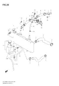 Radiator Hose