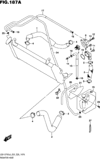 Radiator Hose