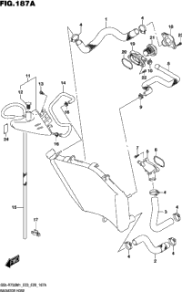 Radiator Hose