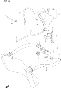 Radiator Hose