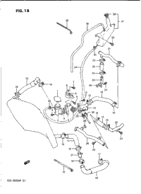 Radiator Hose