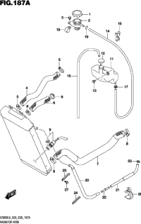 Radiator Hose