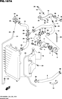 Radiator Hose