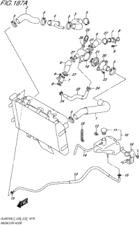 Radiator Hose