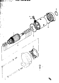 Starting Motor