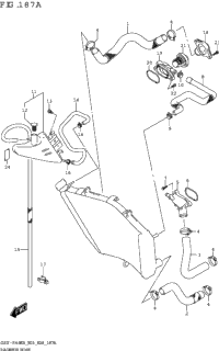 Radiator Hose